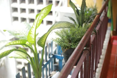 Lagom studio 18 - đẹp và yên bình, kế bên dinh độc lâp, nhà thờ Đức Bà, đường Nguyễn Du, phường Bến Nghé, Quận 1 – Photos 8